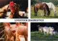 Livestock Diagnostics Market Worth $ $2.02 Billion by 2028