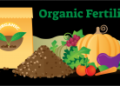 Organic Fertilizers Market Worth $19.88 Billion by 2029  Exclusive Report by Meticulous Research®