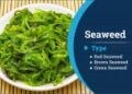 Seaweed Market Worth $23.2 Billion by 2028