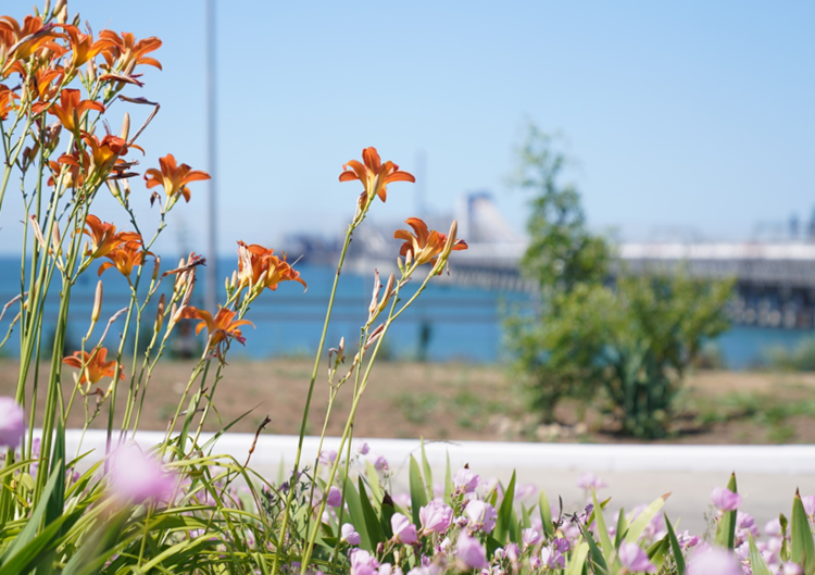 مجموعة أوتيكو (OTEKO) تصدر ملخص الربع الثالث عن حالة البيئة البحرية