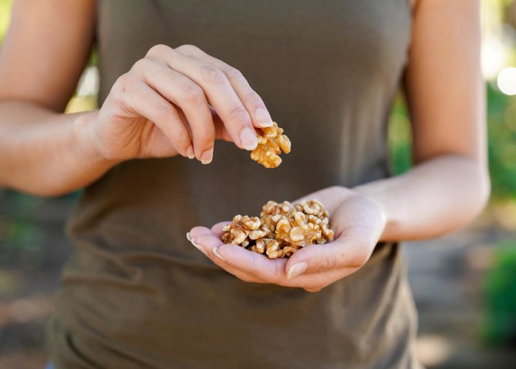 Walnuts Among Omega-3 Foods Linked to Brain Development Benefits in Children and Adolescents