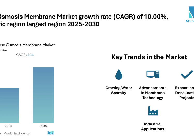 Reverse osmosis membrane Market Size and Share Analysis with CAGR of 10% | BNKO Environmental Technology, Permionics Membranes Pvt ltd, Samco Technologies Inc, Toray Industries, Inc