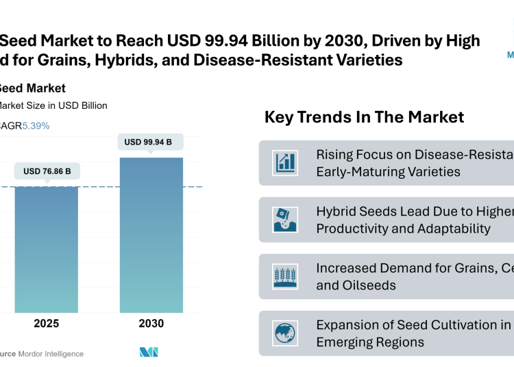 Seed Market Size to Reach USD 99.94 Billion by 2030, Says Mordor Intelligence’s Research