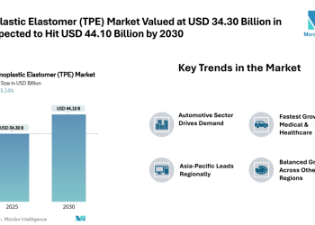 Thermoplastic Elastomer (TPE) Market Global Industry Expected to Cross USD 44.10 Billion by 2030 | Driven by Automotive and Medical Demand