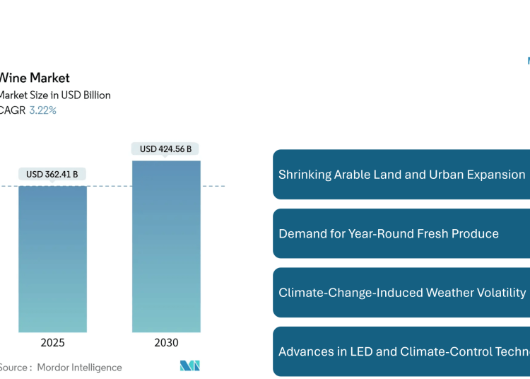 Wine Market to Reach New Heights by 2030, Driven by Premium Flavors, Regional Growth, and Changing Consumer Habits