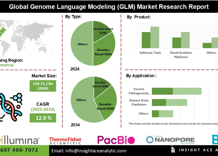 Genome Language Modeling (GLM) Market Growth Driven by Rising Demand for Precision Medicine Personalized Therapeutics and AI Powered Genomic Analysis