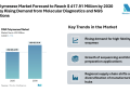 DNA Polymerase Market Forecast to Reach $ 417.91 Million by 2030 Driven by Rising Demand from Molecular Diagnostics and NGS Applications