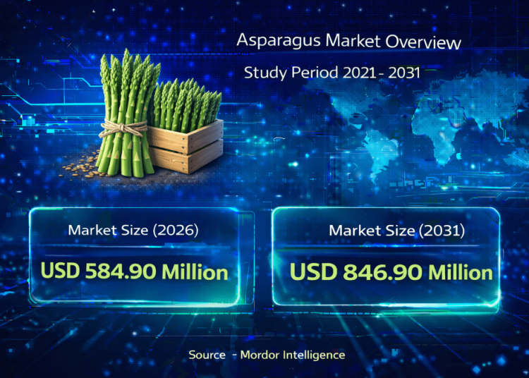 Asparagus Market Size to Reach USD 846.9 Million by 2031: Key Trends Driving Growth