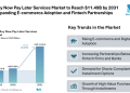 UAE Buy Now Pay Later Services Market to Reach $11.49B by 2031 with Expanding E-commerce Adoption and Fintech Partnerships