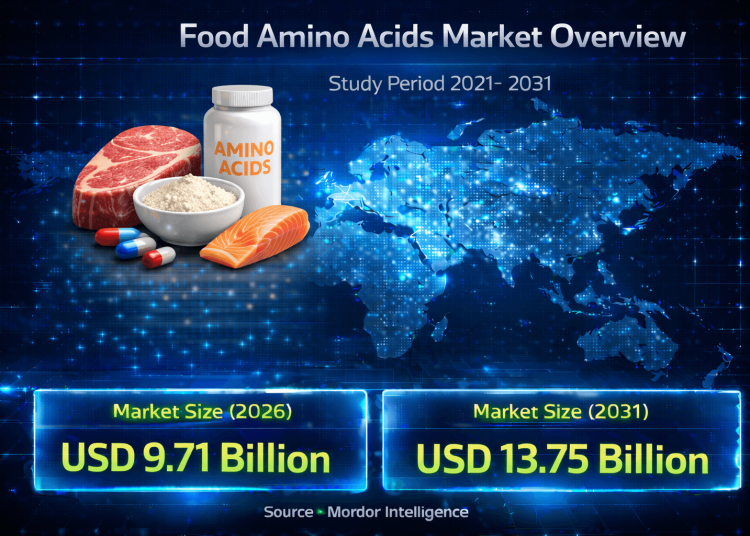 Food Amino Acids Market Size to Reach USD 13.75 Billion by 2031: Growth Driven by Functional Nutrition and Plant-Based Demand