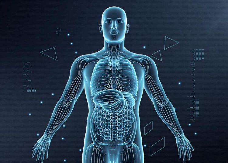 $61.97 Billion by 2029 — How AI-Powered Reconstruction and Spatial Computing Are Transforming Visual Intelligence