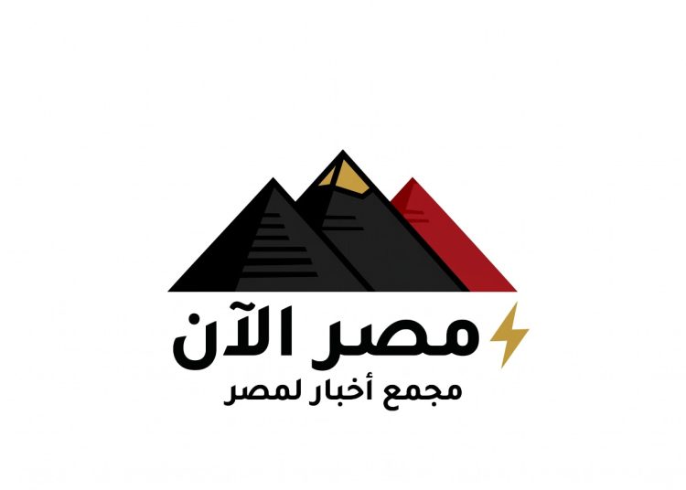 الخارطة الاستراتيجية: إتقان كتابة وتوزيع البيانات الصحفية في مصر