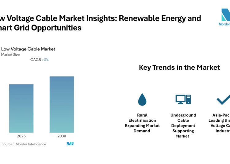 Low Voltage Cable Market to Witness Strong Demand Through 2031 Driven by Underground Cable Deployment